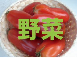 トマトクイズ_野菜.png